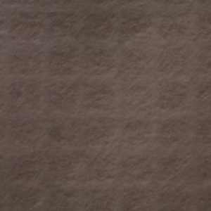 簾影纸 – 君子白