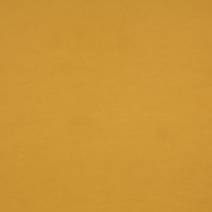 伊斯贝拉 – 姜黄