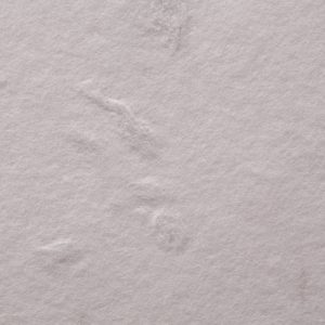 七彩手工纸 – 瓷白色