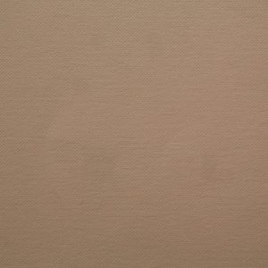 蜜桃丝纸 – 藕粉色