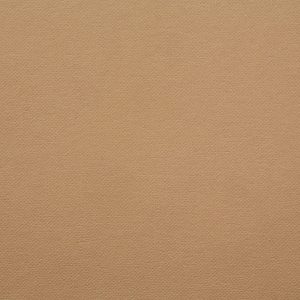 蜜桃丝纸 – 古金色系