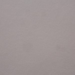 海王星 – 本白