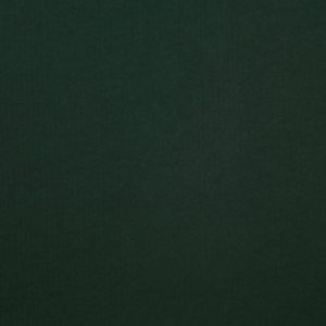 海王星 – 翠绿