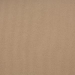 海王星 – 驼色