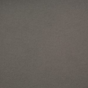 海王星 – 鼠灰