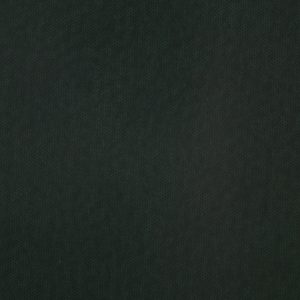 涂涂变色革-平面-3304H