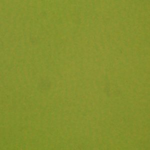 涂涂变色革-平面-3338H