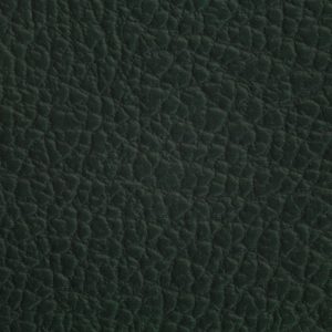 涂涂变色革-压纹-1304H