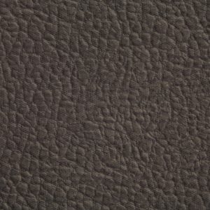 涂涂变色革-压纹-13101H