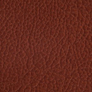 涂涂变色革-压纹-13114H