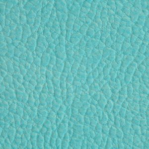 涂涂变色革-压纹-13117H