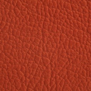 涂涂变色革-压纹-1340H