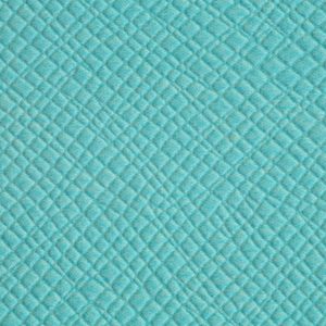 涂涂变色革-压纹-15117H