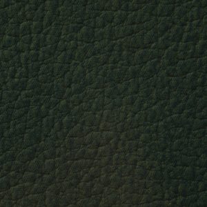 涂涂变色革-压纹-1704H