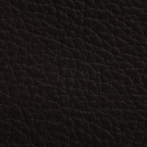 涂涂变色革-压纹-1743H