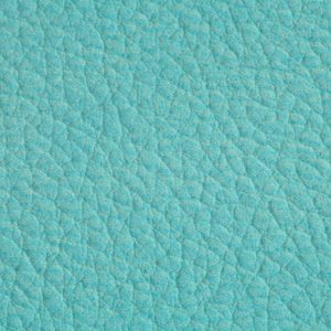 涂涂变色革-压纹-17117H