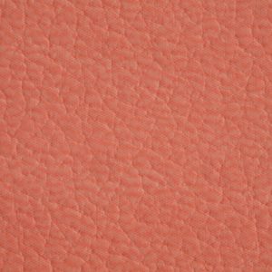 涂涂变色革-压纹-17182H