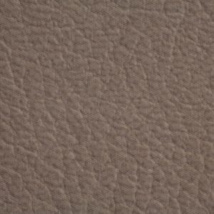 涂涂变色革-压纹-27172H