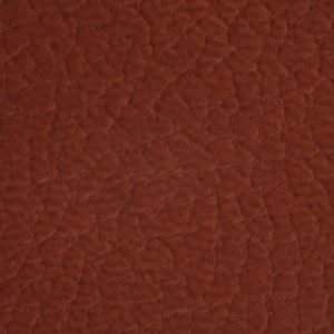 涂涂变色革-压纹-27114H