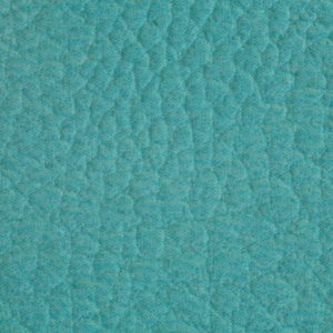 涂涂变色革-压纹-27117H