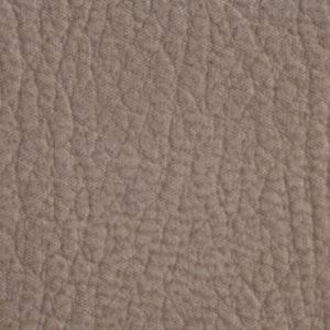 涂涂变色革-压纹-37172H