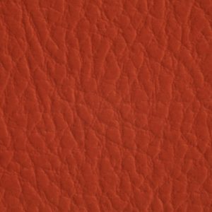 涂涂变色革-压纹-3740H