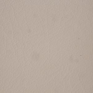 涂涂变色革-干法变色皮-5500H