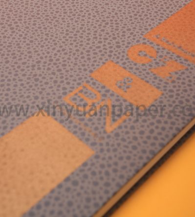 CZBN笔记本-金灰