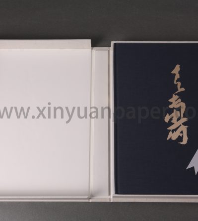 国画大师潘天寿作品集